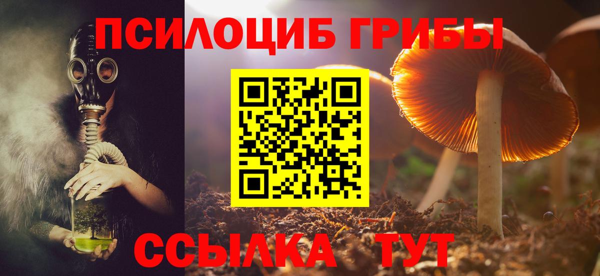 Псилоцибиновые грибы Magic Shrooms  Вход с VPN  Кирово-Чепецк 
